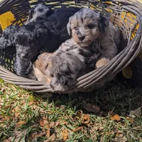 processed/6be3ac7c-cd43-4a10-ae97-482746124baf/facility/5b20cbcf-f096-49ae-b7c0-13d98062f503