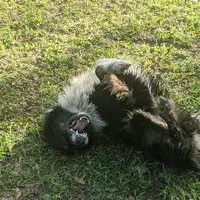 processed/6be3ac7c-cd43-4a10-ae97-482746124baf/facility/66c54c76-93a0-4115-979e-1c40a6409fdc