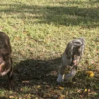 processed/6be3ac7c-cd43-4a10-ae97-482746124baf/facility/93f7d81e-2f64-43b0-a257-f0d02776c566