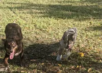 processed/6be3ac7c-cd43-4a10-ae97-482746124baf/facility/93f7d81e-2f64-43b0-a257-f0d02776c566