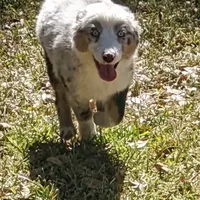 processed/6be3ac7c-cd43-4a10-ae97-482746124baf/facility/bb0afde1-a404-4915-a60b-ddad12bf3ca6