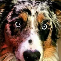 processed/6be3ac7c-cd43-4a10-ae97-482746124baf/facility/d92457c1-9fc9-4656-8fa6-53c9fc911766