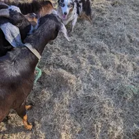 processed/6be3ac7c-cd43-4a10-ae97-482746124baf/facility/ee84fdd7-4902-4700-b009-4eee1e4d29ec