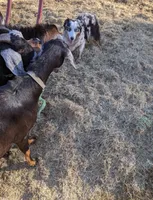 processed/6be3ac7c-cd43-4a10-ae97-482746124baf/facility/ee84fdd7-4902-4700-b009-4eee1e4d29ec