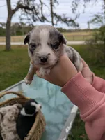 processed/6be3ac7c-cd43-4a10-ae97-482746124baf/listing/a6ea5e1d-f602-4f59-9ce6-40e06ec8fd51/33f6fc4b-046d-4188-8699-22fd6d9d867b