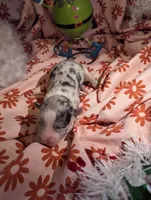 processed/6be3ac7c-cd43-4a10-ae97-482746124baf/listing/a6ea5e1d-f602-4f59-9ce6-40e06ec8fd51/3b86bcf7-eaeb-418d-b3f5-1436c300515b