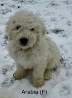 processed/6be4d73b-565f-4c0d-8ea0-682326c8bfa2/listing/bb7c633d-05cc-4532-9b22-42b83ff83db0/5298ebdc-faea-41a6-a99f-7641af1f54e1