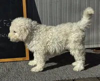 processed/6be4d73b-565f-4c0d-8ea0-682326c8bfa2/listing/bb7c633d-05cc-4532-9b22-42b83ff83db0/ce72626c-c132-4293-b335-0b739cf2a7c6