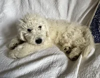 processed/6be4d73b-565f-4c0d-8ea0-682326c8bfa2/listing/dbcace73-2768-473f-94a2-9ea80fcef021/061777e8-83a8-45ce-adff-97b4099e037e