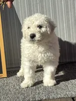 processed/6be4d73b-565f-4c0d-8ea0-682326c8bfa2/listing/dbcace73-2768-473f-94a2-9ea80fcef021/e996f063-94f6-4c73-9263-661dcf966818