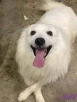 processed/6bea1a57-0012-458c-a610-b17a3bfc747c/listing/da5e1b6d-abb1-45a0-ab3f-1181604e5178/3ce82517-e934-4d65-8453-fee7a44d3139