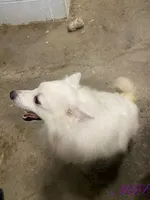 processed/6bea1a57-0012-458c-a610-b17a3bfc747c/listing/da5e1b6d-abb1-45a0-ab3f-1181604e5178/76608562-0b19-4446-bc14-186fa001590d