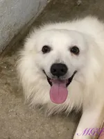 processed/6bea1a57-0012-458c-a610-b17a3bfc747c/listing/da5e1b6d-abb1-45a0-ab3f-1181604e5178/7dd8132a-9d85-4248-bce7-b7fd163da4b9