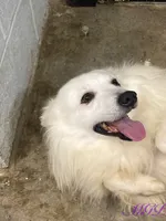 processed/6bea1a57-0012-458c-a610-b17a3bfc747c/listing/da5e1b6d-abb1-45a0-ab3f-1181604e5178/db6abe0e-8399-4817-8b03-2a17e5a83a14