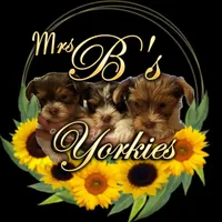 processed/6beac6d5-f02a-4763-affc-7f380d5cd545/facility/96baa46e-2b6c-4281-91af-8364c0496c1e