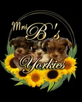 processed/6beac6d5-f02a-4763-affc-7f380d5cd545/facility/96baa46e-2b6c-4281-91af-8364c0496c1e