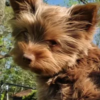 processed/6beac6d5-f02a-4763-affc-7f380d5cd545/facility/9dfecd26-91f3-44ff-9119-95297a070469