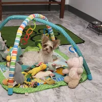 processed/6beac6d5-f02a-4763-affc-7f380d5cd545/facility/b40dcbe8-29c0-4963-96ba-83775b14ee34