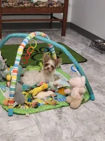 processed/6beac6d5-f02a-4763-affc-7f380d5cd545/facility/b40dcbe8-29c0-4963-96ba-83775b14ee34