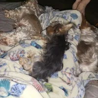 processed/6beac6d5-f02a-4763-affc-7f380d5cd545/facility/ea27cbc2-63b9-43de-869b-e63a2bb3c5f4