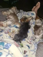 processed/6beac6d5-f02a-4763-affc-7f380d5cd545/facility/ea27cbc2-63b9-43de-869b-e63a2bb3c5f4