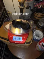 Bella, a female Yorkshire Terrier for sale in Jarratt, VA – Photo 3 of 8