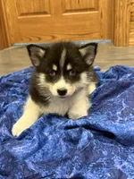 processed/6bec57a0-0389-4187-a882-e4d7d5b1f714/listing/1992ecce-f4ac-4166-ba06-c684970d41de/226e94d9-677f-496b-9991-a1f994cad320