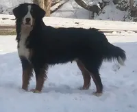 processed/6bec57a0-0389-4187-a882-e4d7d5b1f714/listing/1f130c00-caa0-4e30-b65b-42b6f81cdb67/7c50f50f-57f8-4506-b6e0-6fee2d05cac4