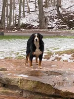 processed/6bec57a0-0389-4187-a882-e4d7d5b1f714/listing/1f130c00-caa0-4e30-b65b-42b6f81cdb67/a4b19481-97f6-450c-9ead-4ba45449f196