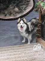 processed/6bec57a0-0389-4187-a882-e4d7d5b1f714/listing/643d3a69-1887-4bc0-b71e-14c26be9efef/d33d1066-90b9-4c52-b21b-b65593cb41cb