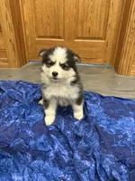 processed/6bec57a0-0389-4187-a882-e4d7d5b1f714/listing/9a22dfe4-7b48-4a0d-b84a-37f9d6f6e55f/31582bc2-184c-45e9-9f74-fcb0c53d392a