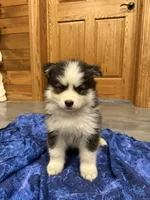 processed/6bec57a0-0389-4187-a882-e4d7d5b1f714/listing/9a22dfe4-7b48-4a0d-b84a-37f9d6f6e55f/4f98e6da-8bf3-4508-a4c1-11143ece8b35