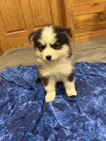 processed/6bec57a0-0389-4187-a882-e4d7d5b1f714/listing/9a22dfe4-7b48-4a0d-b84a-37f9d6f6e55f/eec1cc69-7a2b-4e84-bd89-ded24cea0ca5