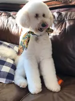 processed/6c041e2b-8dda-4bd9-bb61-e22aea358bad/facility/14a651aa-60ef-45c3-a1cf-8080ecab60fd