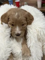 processed/6c041e2b-8dda-4bd9-bb61-e22aea358bad/facility/1fdfa65f-42de-42dc-acfe-9875a654a337