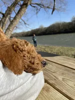 processed/6c041e2b-8dda-4bd9-bb61-e22aea358bad/facility/6363ebf9-9958-4f23-84cf-2f83d102bc55