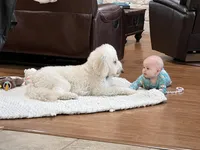 processed/6c041e2b-8dda-4bd9-bb61-e22aea358bad/facility/a03748c0-0e79-402a-8d8b-463d5761273f