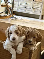 processed/6c041e2b-8dda-4bd9-bb61-e22aea358bad/facility/b3b539bd-92ce-4209-86f5-814949db5ebb