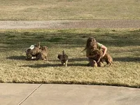 processed/6c041e2b-8dda-4bd9-bb61-e22aea358bad/facility/de5a27b7-f25a-4a14-9c41-11b180e35189