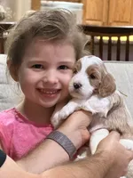 processed/6c041e2b-8dda-4bd9-bb61-e22aea358bad/facility/f3a27c9f-cbc7-431b-8f3c-2d93a17a5898