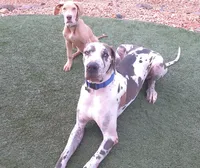 processed/6c0a2648-628e-4ff2-8f65-897a0f9cfb76/facility/04c62bbc-7723-4ca2-8d82-f65d56c21e6e