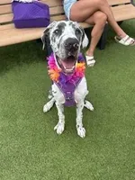 processed/6c0a2648-628e-4ff2-8f65-897a0f9cfb76/facility/23c3a733-035e-4eb6-b337-9e3f1a066eb8