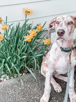 processed/6c0a2648-628e-4ff2-8f65-897a0f9cfb76/facility/6c65efac-35a6-440f-ab09-ae9ccaa06688