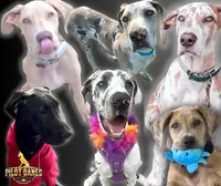 processed/6c0a2648-628e-4ff2-8f65-897a0f9cfb76/facility/7490c8a3-c6f4-4be5-bc3c-2ea3d32f5afd