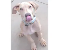 processed/6c0a2648-628e-4ff2-8f65-897a0f9cfb76/facility/85188ad9-887f-4a1e-88df-36ae7024dedc