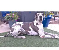 processed/6c0a2648-628e-4ff2-8f65-897a0f9cfb76/facility/ef4e6cd2-4048-44a1-a311-cfbbecbee963