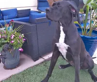 processed/6c0a2648-628e-4ff2-8f65-897a0f9cfb76/facility/f2405d16-0c8e-4af7-a732-62c98516170a