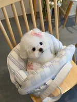 Gina , a female Bichon Frise for sale in Los Angeles, CA – 8 of 10