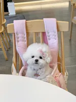 Gina , a female Bichon Frise for sale in Los Angeles, CA – 9 of 10