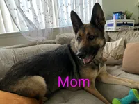 processed/6c139eee-b635-4386-8ec3-f9fbc2eed190/listing/bd730e81-f2eb-4236-ba11-e964afe2abb8/17f7280c-0000-41d5-a6be-8d74708a1b5e